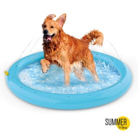 Summer Vibes Piscina com jatos para cães
