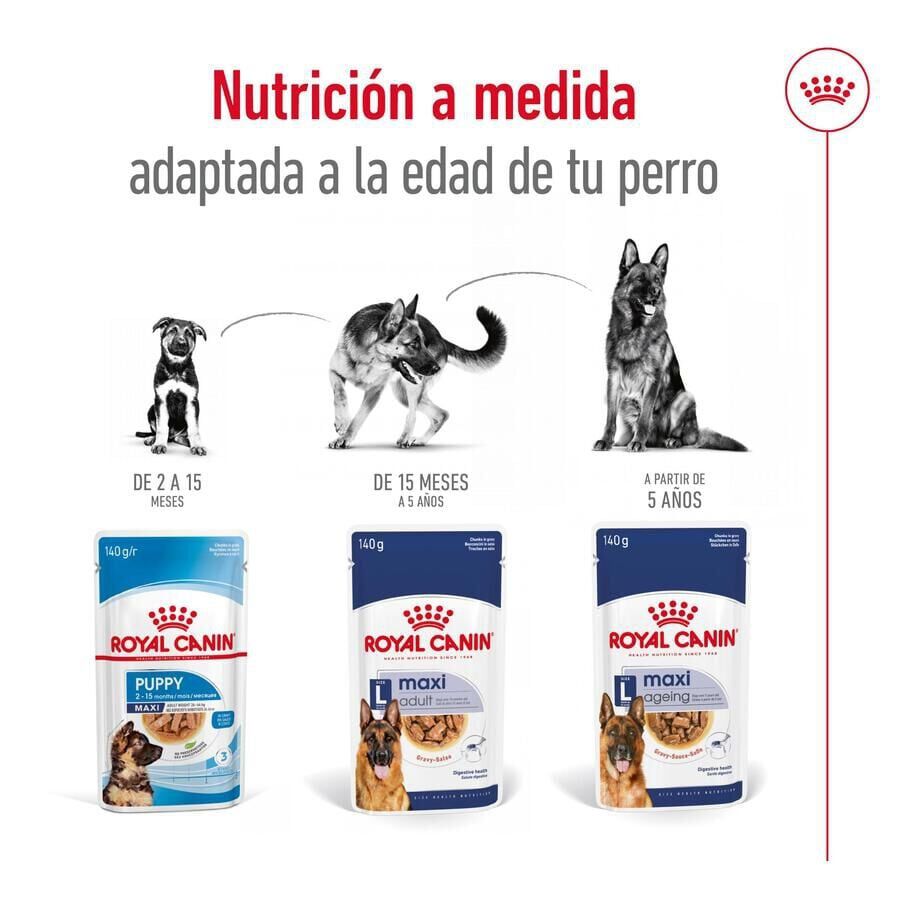 140 g Royal Canin Maxi Adult Carne saquetas em molho para c&atilde;es, , large Imagem n&uacute;mero 7