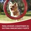 Purina One Mini Adult Bifensis Boi ração para cães, , large Indicador imagem número 2
