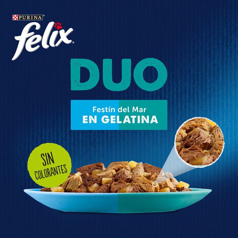 4 saquetas x 85 g Felix Fantastic Duo Delicious Peixe em gelatina para gatos,  Imagem número 2 4 saquetas x 85 g Felix Fantastic Duo Delicious Peixe em gelatina para gatos, , large Imagem número 2