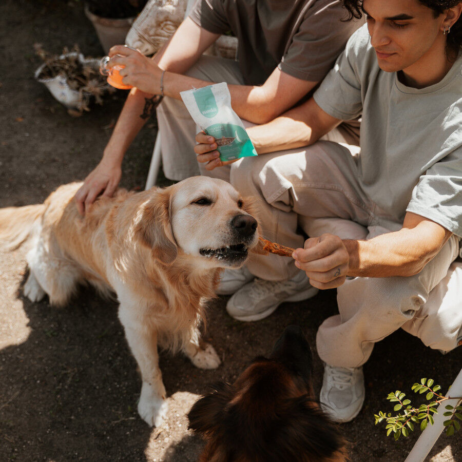 50 g Natuka Melva Filetitos Petisco Natural para c&atilde;es e gatos, , large Imagem n&uacute;mero 3