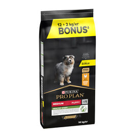 14 kg (12 + 2 kg grátis!) Pro Plan Puppy Medium Frango ração para cachorros