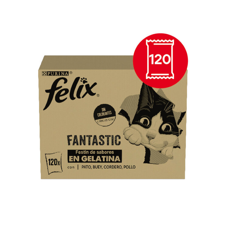 120 saquetas x 85 g Felix Fantastic Seleções Favoritas de Carnes em Gelatina saquetas para gatos – Multipack,  Imagem número 2 120 saquetas x 85 g Felix Fantastic Seleções Favoritas de Carnes em Gelatina saquetas para gatos – Multipack, , large Imagem número 2