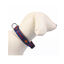 DC Comics Super Pets Coleira para cães, , large Indicador imagem número 2