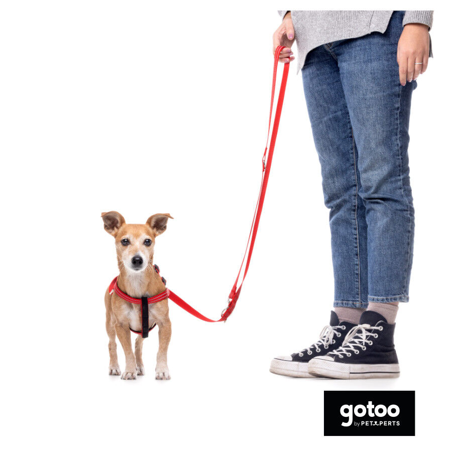 Gotoo Trela de nylon refletora vermelha para c&atilde;es, , large Imagem n&uacute;mero 5