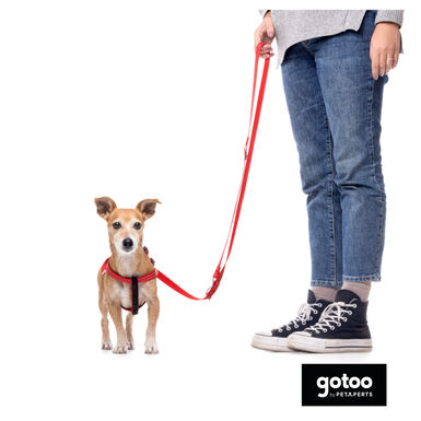 Gotoo Trela de nylon refletora vermelha para cães
