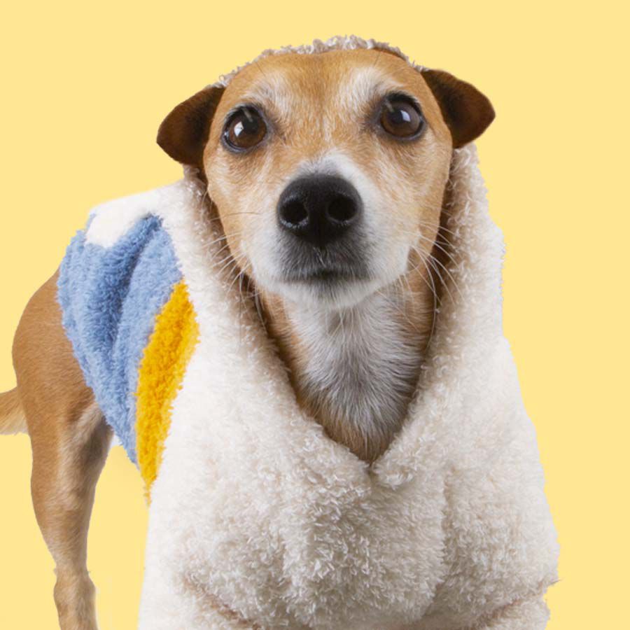 Outech Colorblock Pijama para c&atilde;es, , large Imagem n&uacute;mero 4