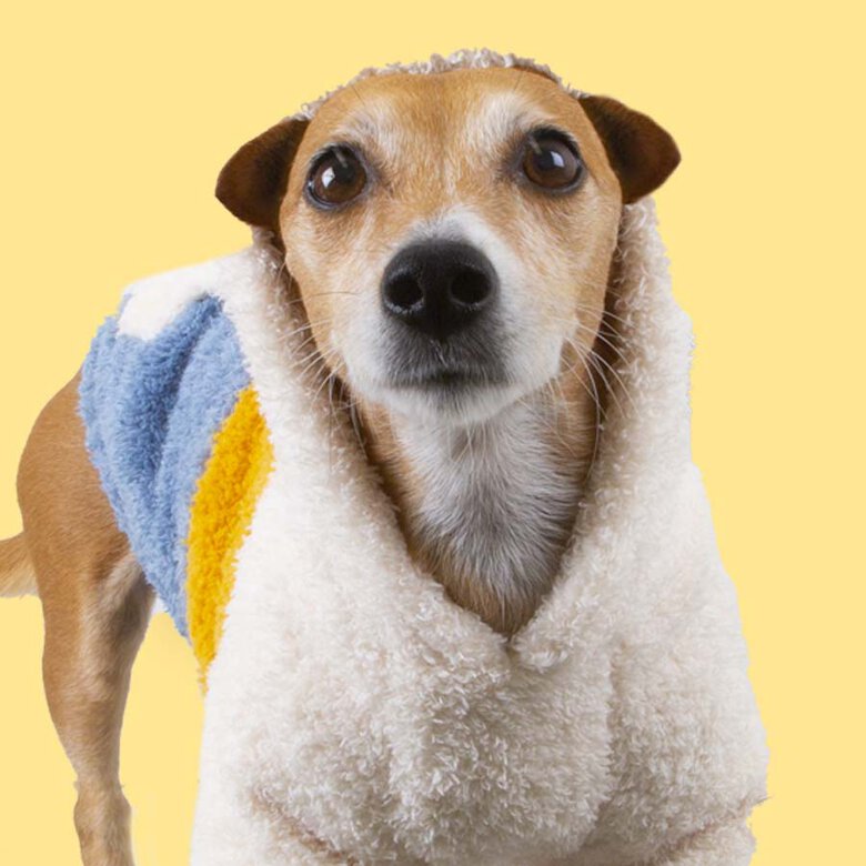 Outech Colorblock Pijama para cães,  Imagem número 4 Outech Colorblock Pijama para cães, , large Imagem número 4