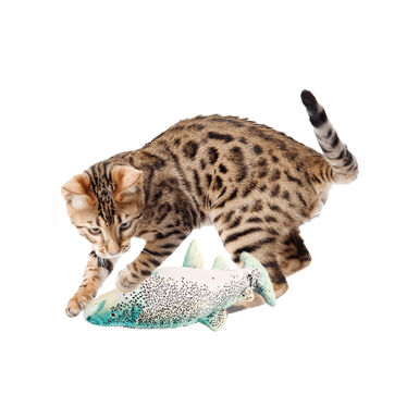 All For Paws Natural Instinct Brinquedo Peixe Interativo para gatos 