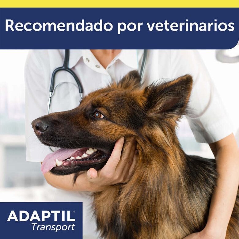 Adaptil Transport Spray Tranquilizante de Viagem para Cães,  Imagem número 8 Adaptil Transport Spray Tranquilizante de Viagem para Cães, , large Imagem número 8