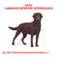 12 kg Royal Canin Adult Labrador Sterilised ração para cães, , large Indicador imagem número 4