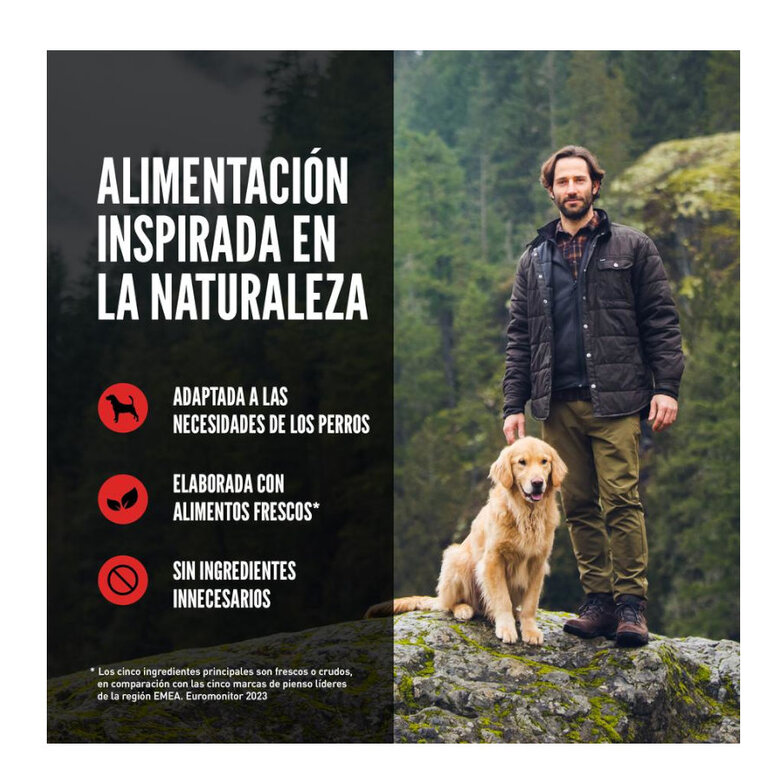 11 kg Orijen Puppy Large ração para cães,  Imagem número 6 11 kg Orijen Puppy Large ração para cães, , large Imagem número 6