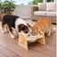 Leeby Comedouro Elevado de Madeira e Cer&acirc;mica para c&atilde;es e gatos, , large Indicador imagem n&uacute;mero 1