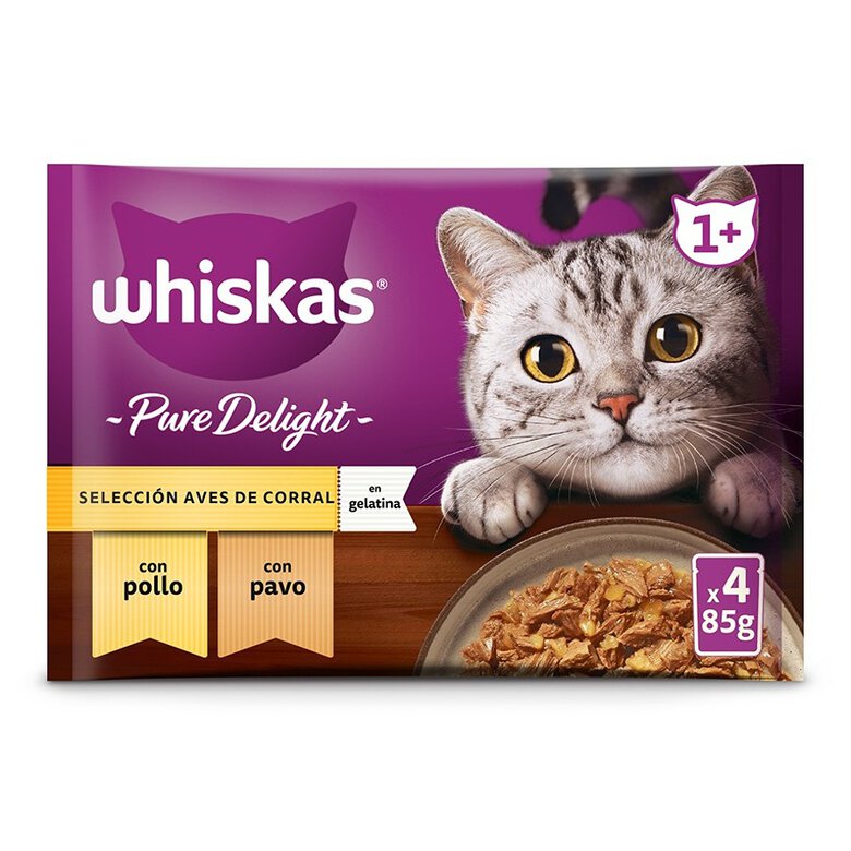 4 saquetas x 85 g Whiskas Casserole Aves Geleia em Saqueta para Gatos,  Imagem número 1 4 saquetas x 85 g Whiskas Casserole Aves Geleia em Saqueta para Gatos, , large Imagem número 1