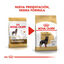 12 kg Royal Canin Adult Rottweiler ração para cães, , large Indicador imagem número 3
