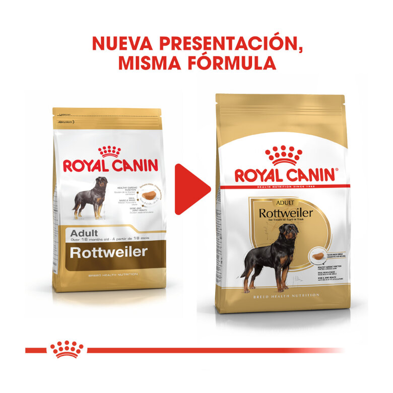 12 kg Royal Canin Adult Rottweiler ração para cães,  Imagem número 3 12 kg Royal Canin Adult Rottweiler ração para cães, , large Imagem número 3