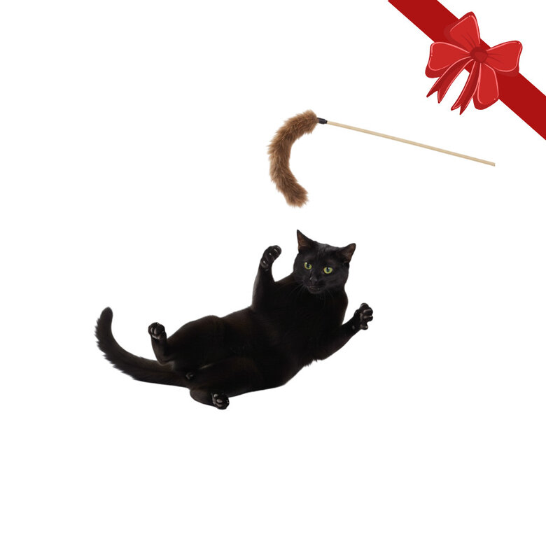 Wonder Christmas Brinquedo com Vara de Natal para Gatos,  Imagem número 1 Wonder Christmas Brinquedo com Vara de Natal para Gatos, , large Imagem número 1