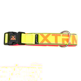 Nayeco X-TRM Neon Flash Coleira Limão para cães