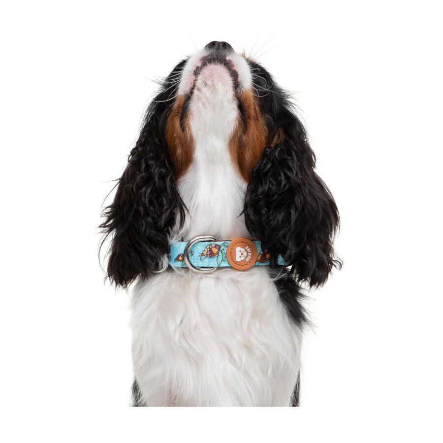 Dukier Coleira com Estampado de Tartarugas para c&atilde;es, , large Imagem n&uacute;mero 2