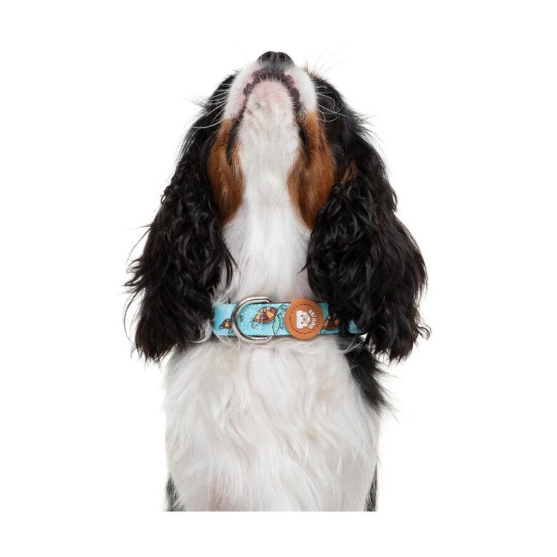 Dukier Coleira com Estampado de Tartarugas para cães,  Imagem número 2 Dukier Coleira com Estampado de Tartarugas para cães, , large Imagem número 2