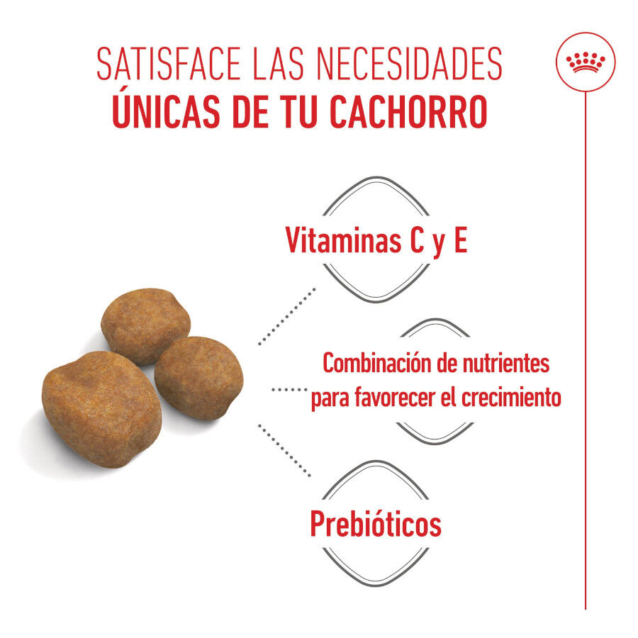 15 kg Royal Canin Puppy Giant ra&ccedil;&atilde;o para c&atilde;es, , large Imagem n&uacute;mero 4