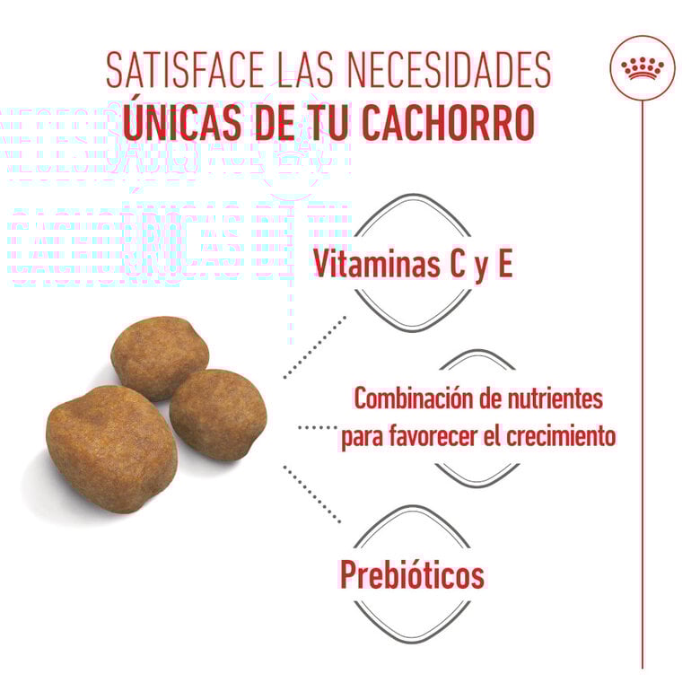 15 kg Royal Canin Puppy Giant ração para cães,  Imagem número 4 15 kg Royal Canin Puppy Giant ração para cães, , large Imagem número 4