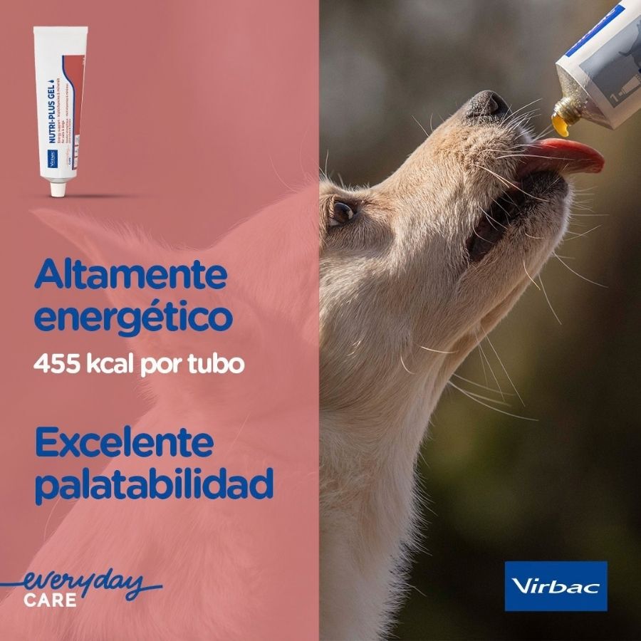 120 g Virbac Nutri-plus Gel Suplemento para c&atilde;es e gatos, , large Imagem n&uacute;mero 6