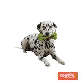 Tootoy! Chew Mordedor osso dentário para cães