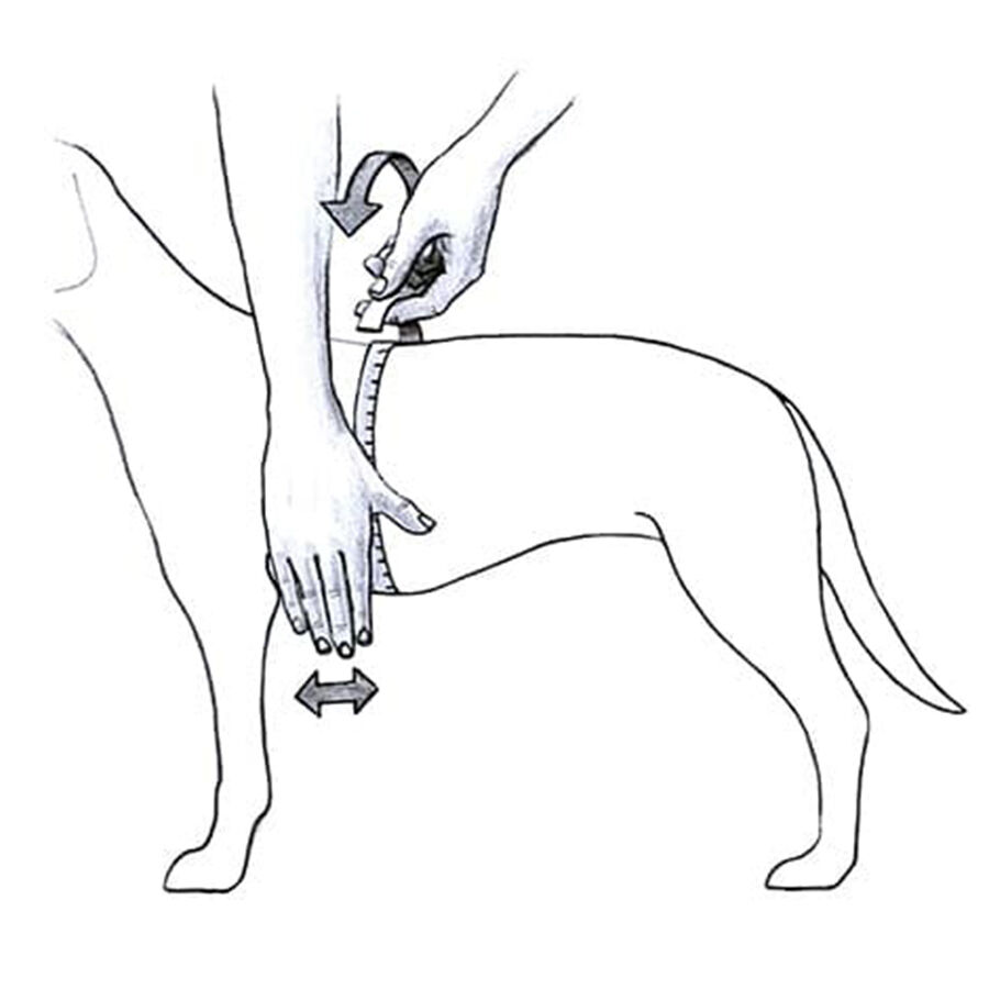 Julius-K9 IDC Peitoral Vermelho para c&atilde;es, , large Imagem n&uacute;mero 5