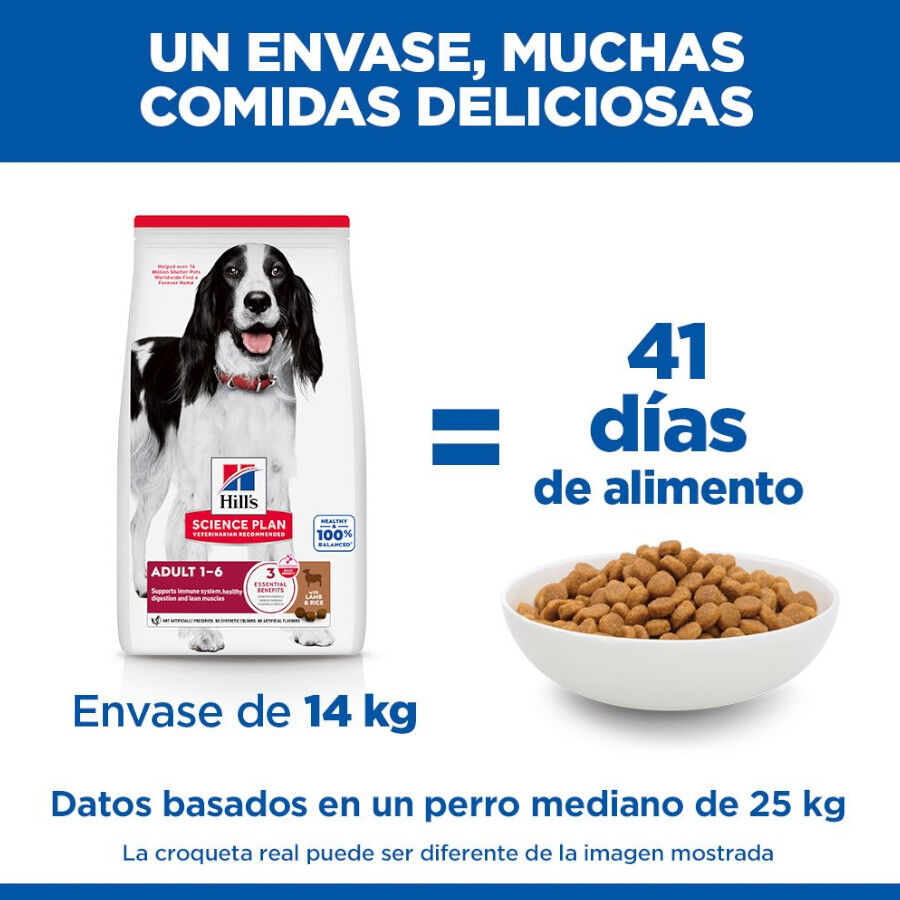 18 kg Hill's Science Plan Adult Medium Cordeiro e Arroz ra&ccedil;&atilde;o para c&atilde;es, , large Imagem n&uacute;mero 6
