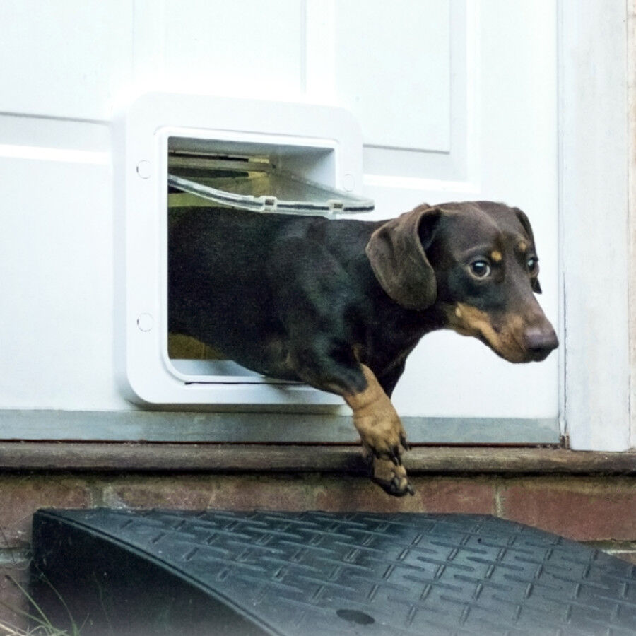 Sure Petcare SureFlap Porta Autom&aacute;tica Branca com Microchip , , large Imagem n&uacute;mero 5