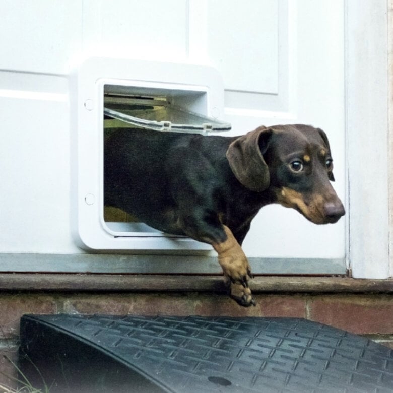 Sure Petcare SureFlap Porta Automática Branca com Microchip ,  Imagem número 5 Sure Petcare SureFlap Porta Automática Branca com Microchip , , large Imagem número 5