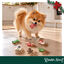 1 pack x 7 uns. Wonder Christmas Pack Presente de Bolachas Snacks para C&atilde;es, , large Indicador imagem n&uacute;mero 2