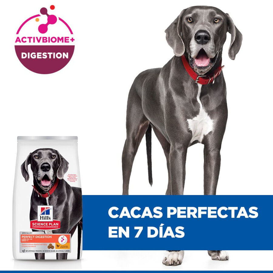 14 kg Hill's Large Adult Science Plan Perfect Digestion Frango ra&ccedil;&atilde;o para c&atilde;es, , large Imagem n&uacute;mero 6