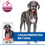 14 kg Hill's Large Adult Science Plan Perfect Digestion Frango ração para cães, , large Indicador imagem número 6