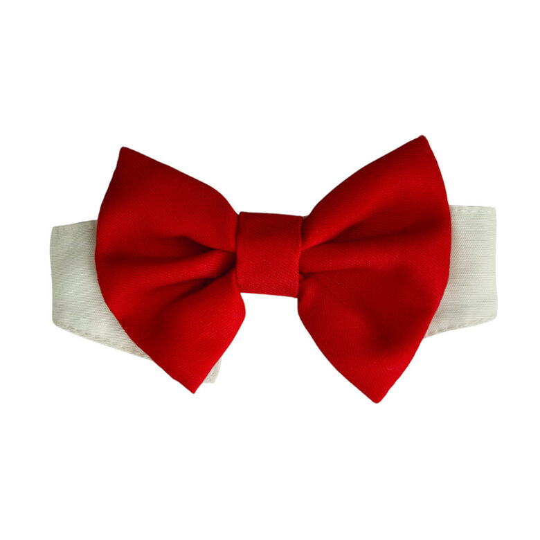 Gotoo Laço vermelho para cães,  Imagem número 1 Gotoo Laço vermelho para cães, , large Imagem número 1