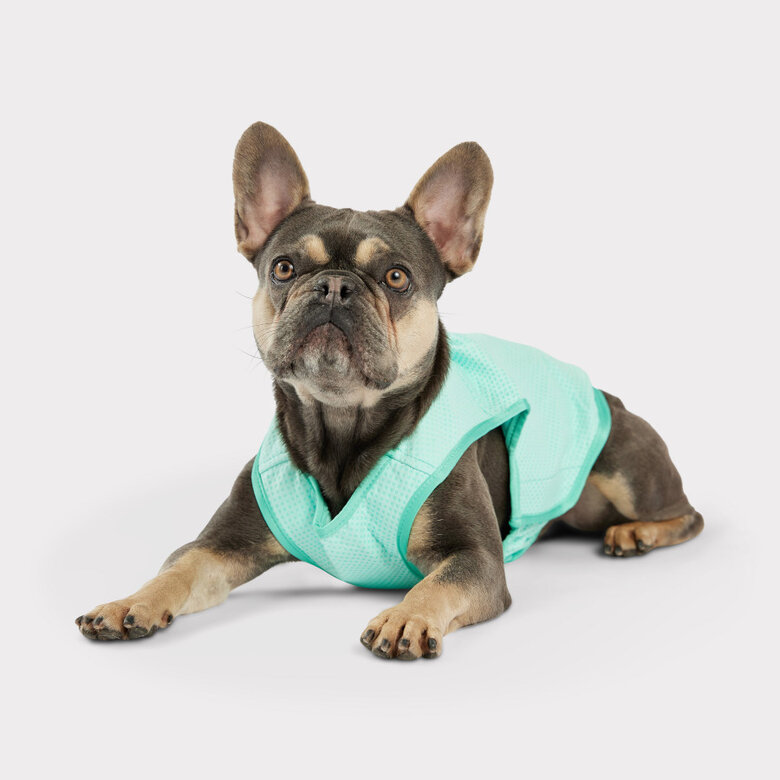 GF Pet ElastoFit Ice Vest Colete Refrescante para cães,  Imagem número 4 GF Pet ElastoFit Ice Vest Colete Refrescante para cães, , large Imagem número 4