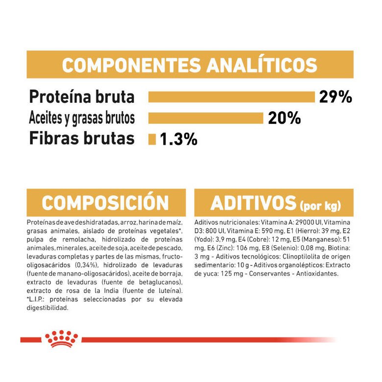 Royal Canin Puppy Yorkshire Terrier ração para cães,  Imagem número 8 Royal Canin Puppy Yorkshire Terrier ração para cães, , large Imagem número 8