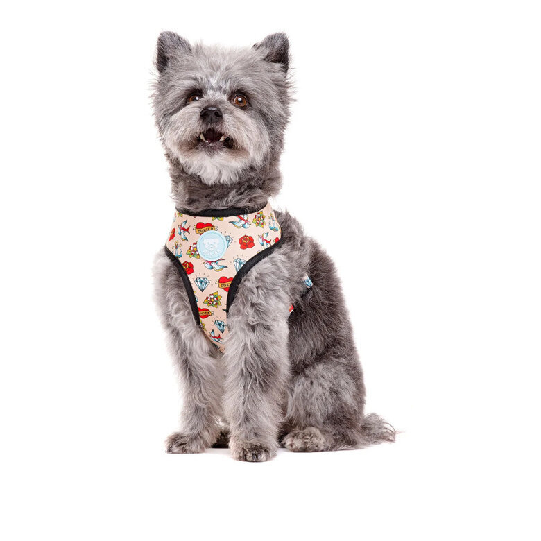 Dukier Peitoral reversível com estampado de tatuagem para cães,  Imagem número 2 Dukier Peitoral reversível com estampado de tatuagem para cães, , large Imagem número 2