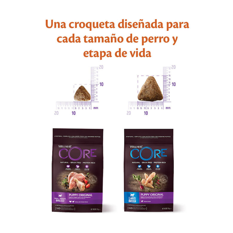 10 kg Wellness Core Puppy Small/Medium Frango e Peru ração para cães,  Imagem número 2 10 kg Wellness Core Puppy Small/Medium Frango e Peru ração para cães, , large Imagem número 2