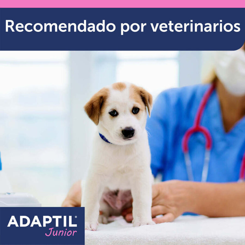 Adaptil Junior Coleira Anti-stress para cães,  Imagem número 10 Adaptil Junior Coleira Anti-stress para cães, , large Imagem número 10