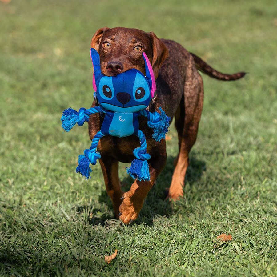 Disney Stitch Corda Dental brinquedo para c&atilde;es, , large Imagem n&uacute;mero 4