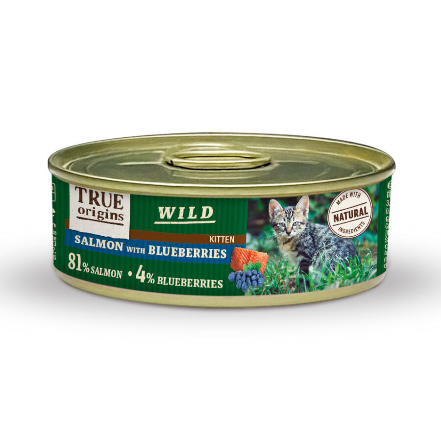 85 g True Origins Wild Kitten Salm&atilde;o e Mirtilos em lata, , large Imagem n&uacute;mero 1