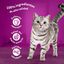 4 saquetas x 85 g Whiskas Aves Geleia em Saqueta para Gatos Senior, , large Indicador imagem número 5