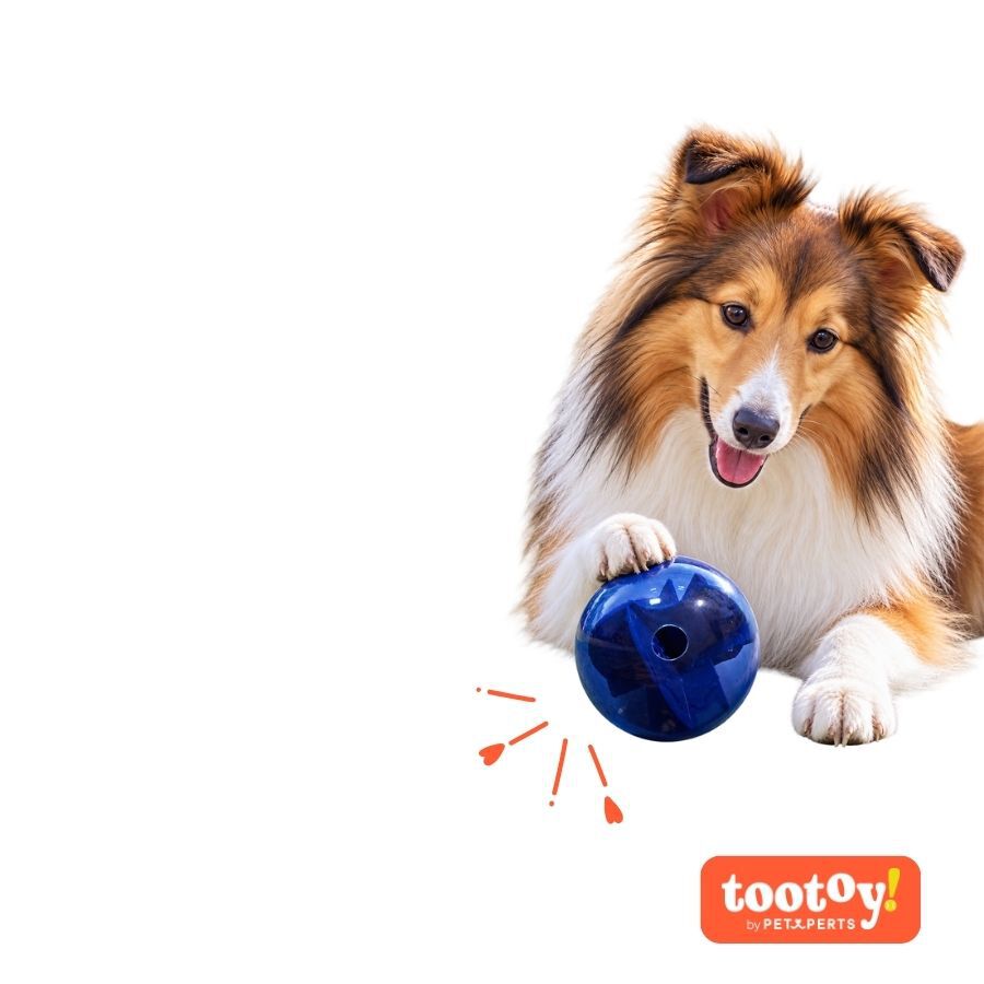 Tootoy! Explore Bola Labirinto Dispensadora de Snacks para c&atilde;es, , large Imagem n&uacute;mero 7