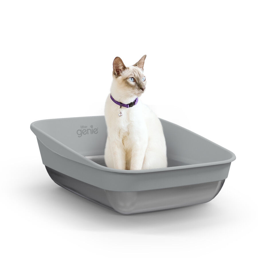 Litter Genie Caixa de Areia LitterLocker Platinum para gatos, , large Imagem n&uacute;mero 5