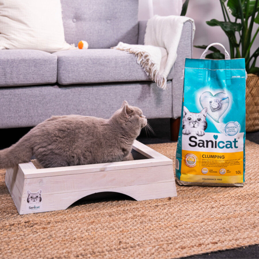 10 L Sanicat Cumpling Areia Aglomerante para gatos, , large Imagem n&uacute;mero 4