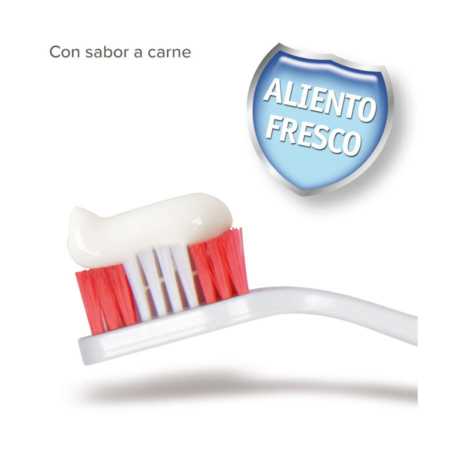 Beaphar Kit dent&aacute;rio para c&atilde;es, , large Imagem n&uacute;mero 2