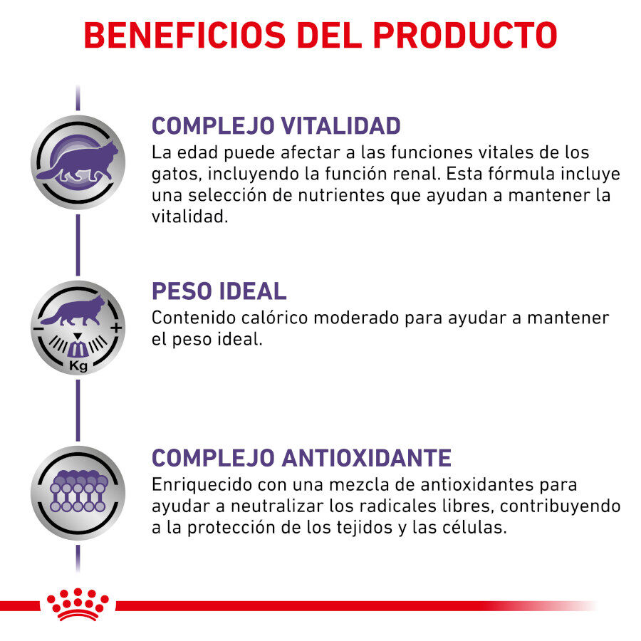 12 saquetas x 85 g Royal Canin Mature Consult Balance Pat&eacute; saqueta para gatos, , large Imagem n&uacute;mero 3