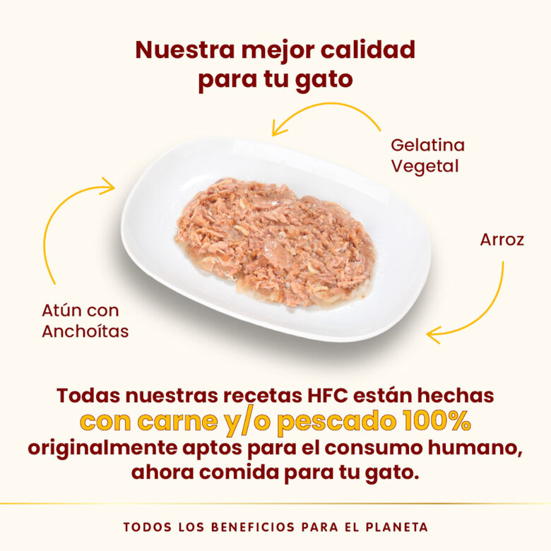 55 g Almo Nature HFC Atum com Peixe Branco em Gelatina sachê para gatos,  Imagem número 3 55 g Almo Nature HFC Atum com Peixe Branco em Gelatina sachê para gatos, , large Imagem número 3